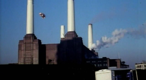 calimarikid:  Pink Floyd Animals photoshoot 1977 