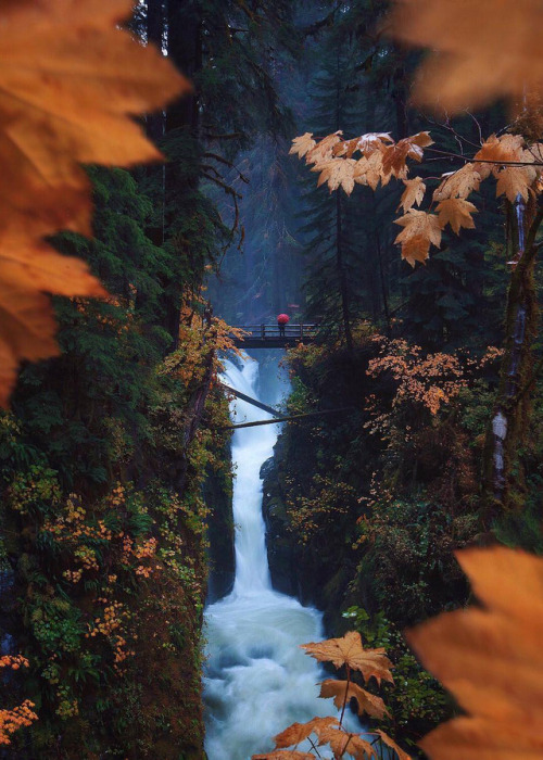 coiour-my-world:Raging waterfalls of Olympic National Park, Washington | by @jamesrelfdyer