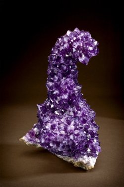 hematitehearts: Amethyst Size:  13.7 x 8.5 x 8.8 cm   Locality:   Artigas, Artigas Department, Uruguay   