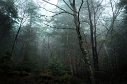 muddysoul:North Yatsugatake mountains / Nagano