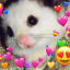 cutekorok