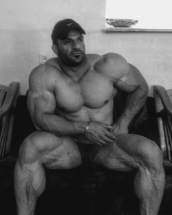 myfavoritemusclemen: Meysam Keshvari