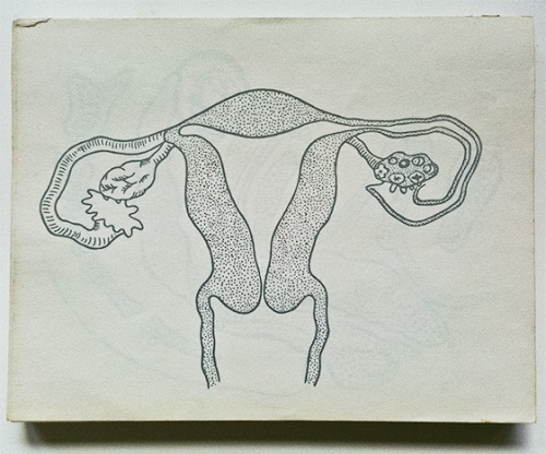 arterialtrees: Kiki Smith and Jolie Stahl, Notepad with Uterus Drawings, 1983.  offset prints on a p