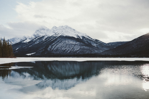 Driving through Spray Valley Provincial Park // Kananaskis, AB allisonseto.com