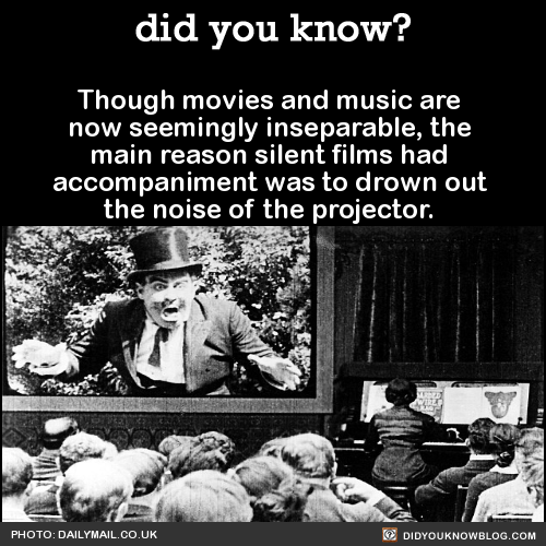 did-you-kno:      My great grandmother played piano at silent film showings. She