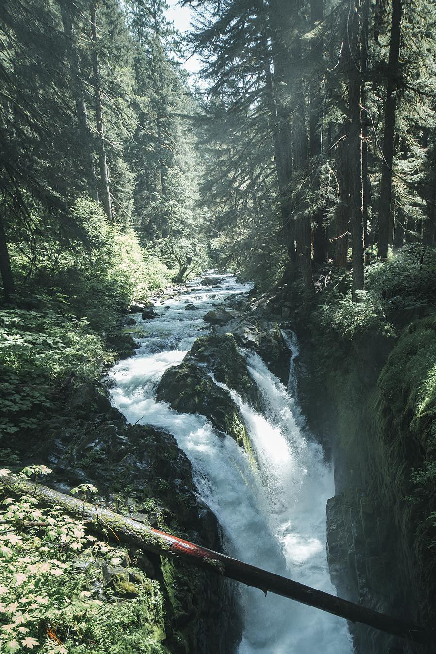 Sol Duc Falls! Ugh I miss home 😩