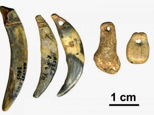 Neanderthal clothingThere is evidence that Neanderthals were as mentally advanced as Homo sapiens. T