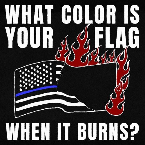 &ldquo;What color is your flag, when it burns?&quot; Graphic by Deep Theft