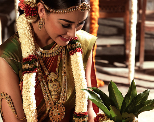brownpropaganda:bombaynights:sarsariya:The Telugu Bride:The Telugu bride, bedecked in gold from head