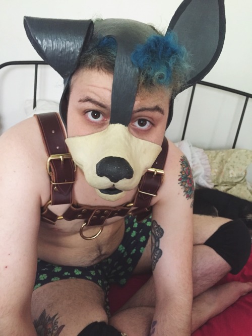 ace-puppy:  @daveywoofr, @fawn–prince, @goodboychance, @nnydlboi, @p0cket-pup, @pup-grizz, @pupsirius, @ruttpup, @tuggerpup, @twitchthepup Hooded Pups of Tumblr #21 