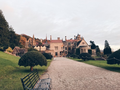 travels-ofadreamer: Wintery sunsets, Tyntesfield