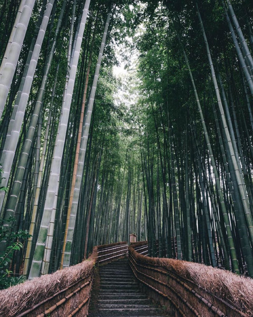 boredpanda: Japanese Photographer Documents The Beauty Of Everyday Life In Japan