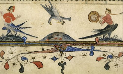 jothelibrarian:Pretty medieval manuscript of the day is a hawk! This illustration of a bird of prey,