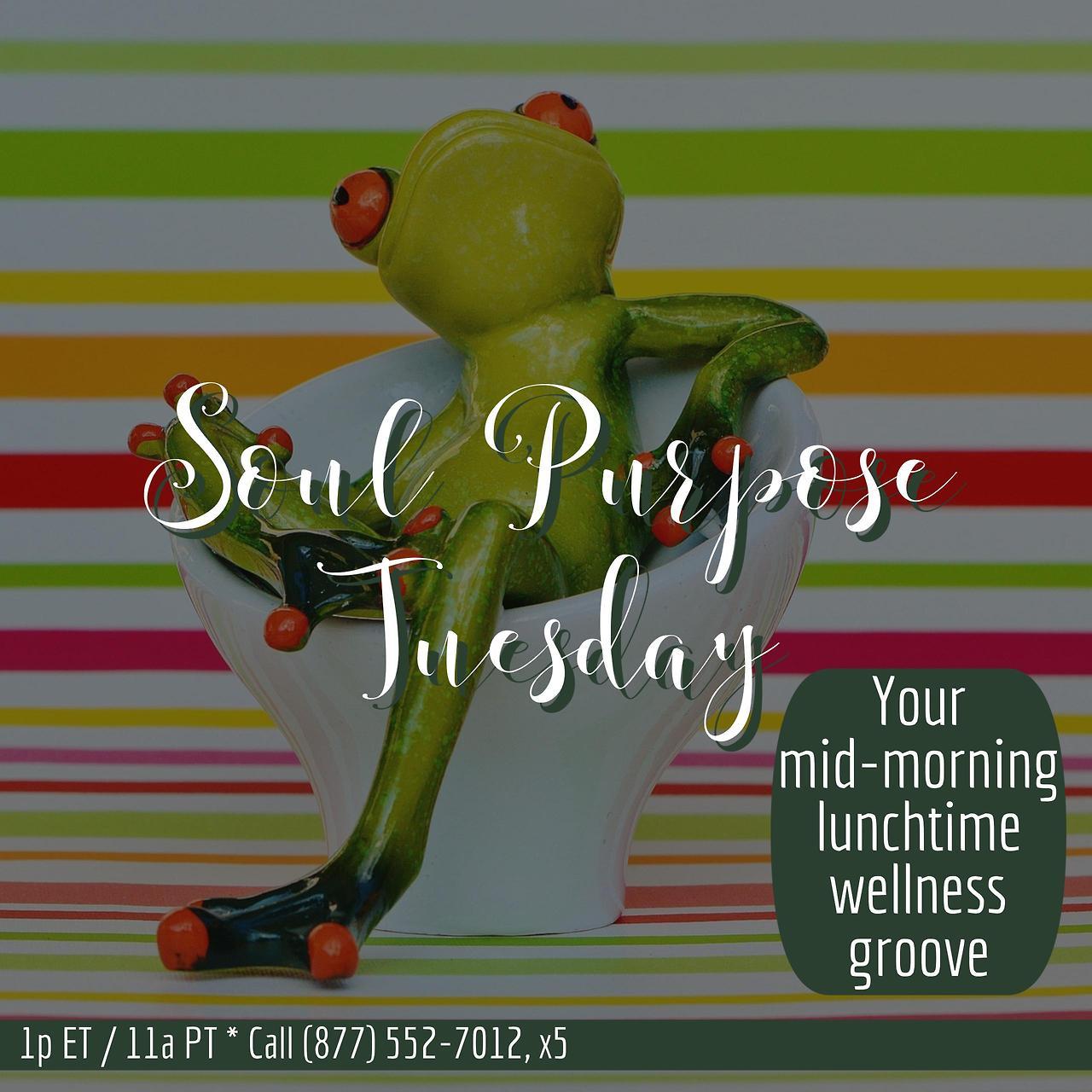 Welcome to the 5th Season of the hit radio broadcast, Soul Purpose Tuesday! Airing every 1st Tuesday on Master Griot / NBBTA Radio
Get ready to stretch and get Healthy Hooked as we kick off another season of Soul Purpose Tuesday, your mid-morning...