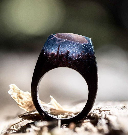 obstinate-nocturna:nudiemuse:thehotgirlproject:boredpanda:New Miniature Worlds Inside Wooden Rings C