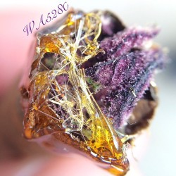 letssmokeloud:  Always dank weedporn by macromob420! Visit LetsSmokeLoud.com for dank weed pics!