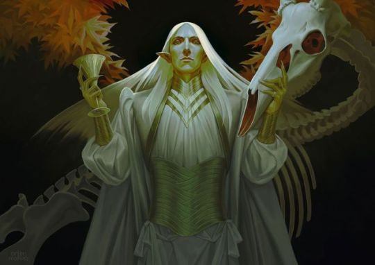 Promotional illustration for Bones of the Forest novel by J.R. Eversole (unpublished).