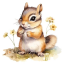 stuffformysquirrel