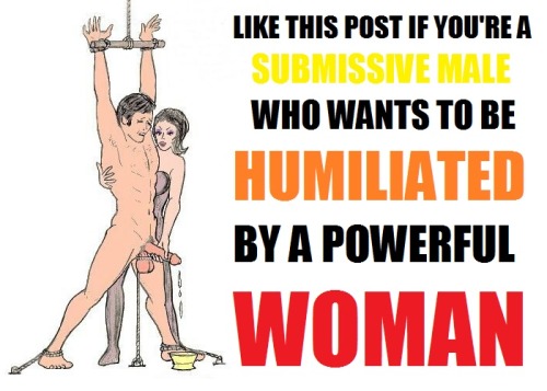 XXX cuckoldingnl:  Humiliated by a powerful woman. photo