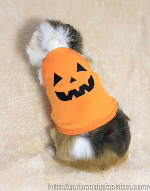 Halloween Costumes now available on Guinea Pig Fashion! Come and visit our website to see the specia