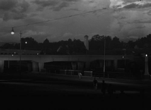 abbaskiarostami: After the Curfew / Lewat Djam Malam (1954) dir. Usmar Ismail Cinematography by Max 