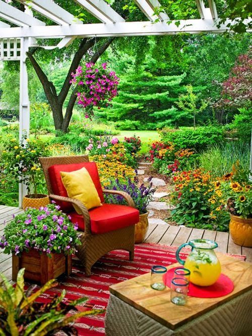 flowersgardenlove:  Backyard colors Beautiful gorgeous pretty flowers 