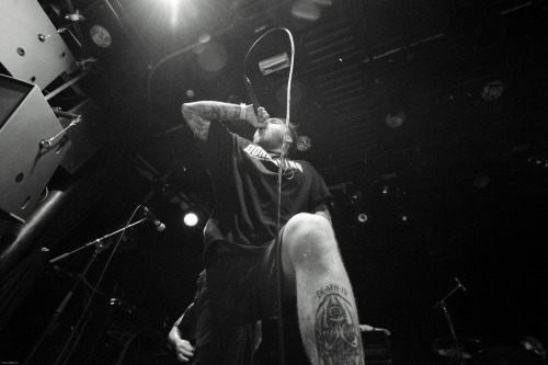 backseatmarinade:  Stick To Your Guns (by Brian Krijgsman) 