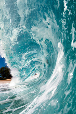 plasmatics-life:  Shorebreak ~ By Jarvis