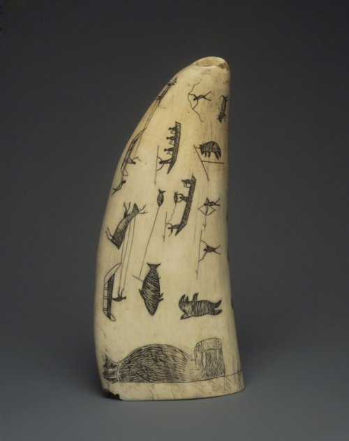historyarchaeologyartefacts:Engraved Inuit whale tooth carved with depictions, 19th century, Alaska 