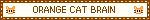 orange cat brain