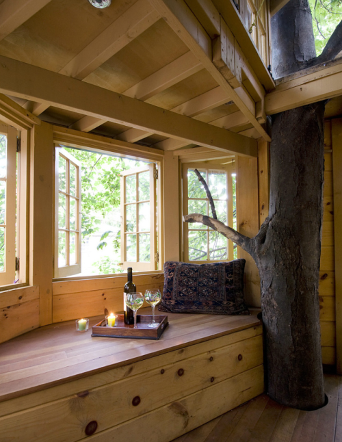 XXX treehauslove:Shope Reno Wharton Treehouse. photo