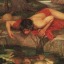 of-narcissus