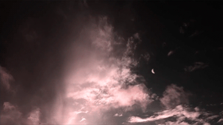 tumblr_p6zb2hVEaZ1rqqdi9o1_500.gifv