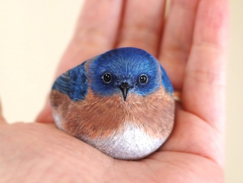 sixpenceee: Japanese artist Akie Nakata turns stones and rocks into adorable animal paintings y