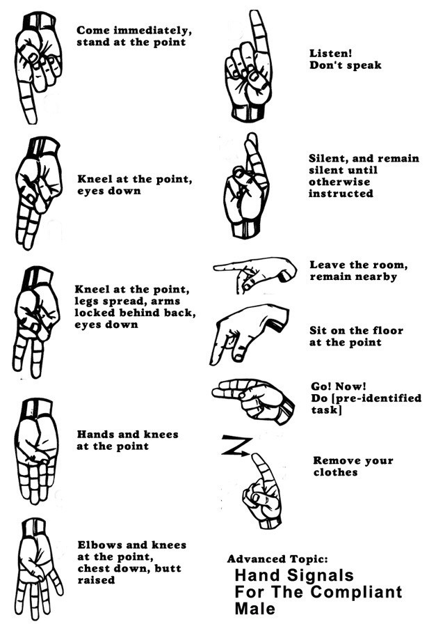mastersfido:graypup:  I’m learning my hand signals for the day this pup finally