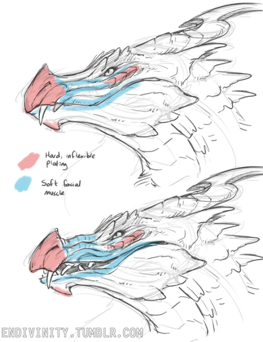 citizenslime:  endivinity:  boethiah:  alrnalexia:  dragons have lips   this isn’t a shitpost. in skyrim’s dragon language there are pairs of distinct words such as: ‘nid’ (no/none), ‘mid’ (loyal/loyalty), ‘mu’ (we) vs ‘nu’ (now),