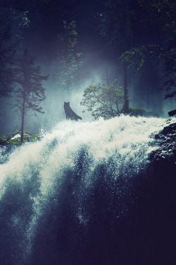 umq:  Wolf in the Mists by (Nikita Gill)