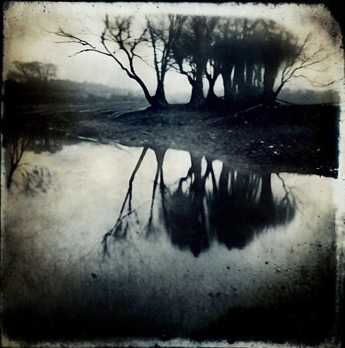 Lake 101123