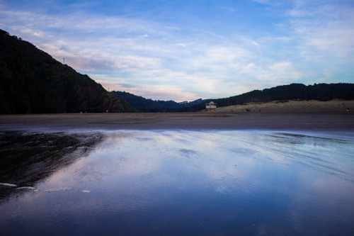 living-inbetween:  Bethells Beach, Te Hunga, Waitakere, Auckland.  Chasing the light 