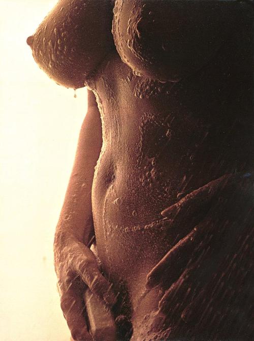 wetwaterwet