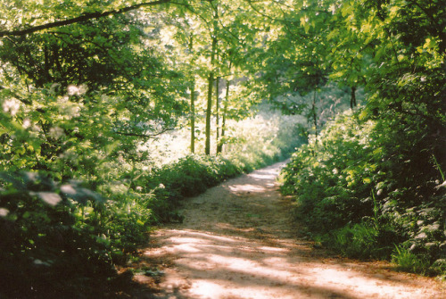 we4kness:  untitled by emilyharriet on Flickr. 
