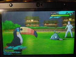 insanelyasinine:  bs-random: Toucannon is