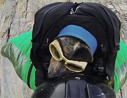 huffingtonpost:  This, ladies and gentlemen, is the world’s first BASE jumping, wingsuit-wearing dog. See the full video of this brave pup soar the skies here. 