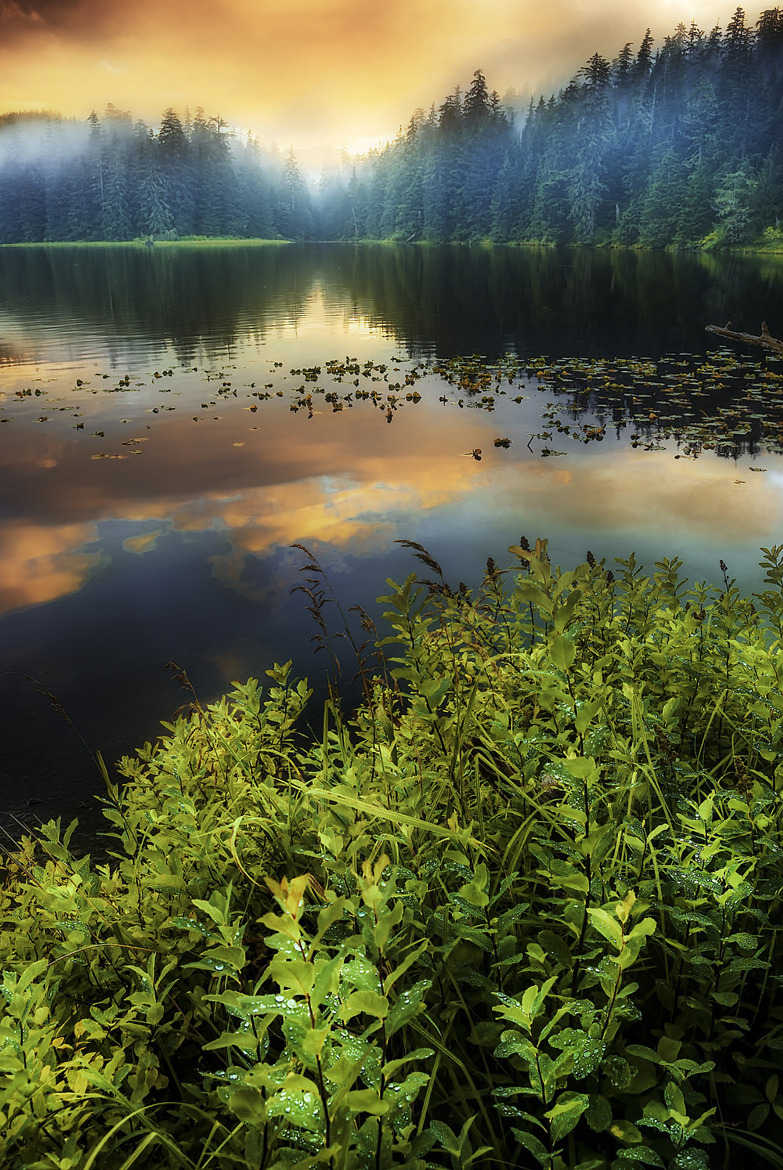 wowtastic-nature:💙 By the Lake on 500px by Carlos Rojas☀  PENTAX K200D-f/8-1/4s-18mm-iso100,