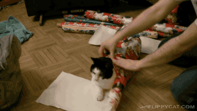 nox-lee: gifsboom: How To Wrap A Cat For Christmas. This never gets old. 