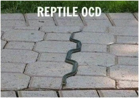 Do not deviate from the pattern