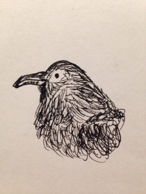 So, I Drew Some Birbs! They're Both Supposed To Be Ravens, But, The One On The Left Looks More Like A