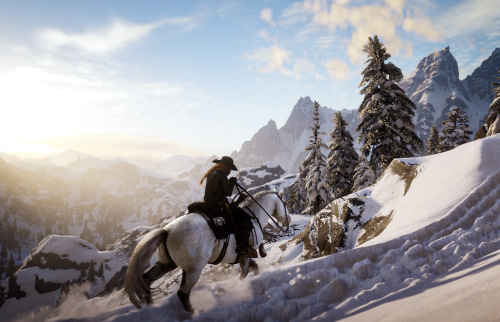 Red Dead Online
