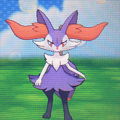 charmeleons:SALEM EVOLVED AHH ;▽; now he’s a perfect braixen, favorite pokemon. just
