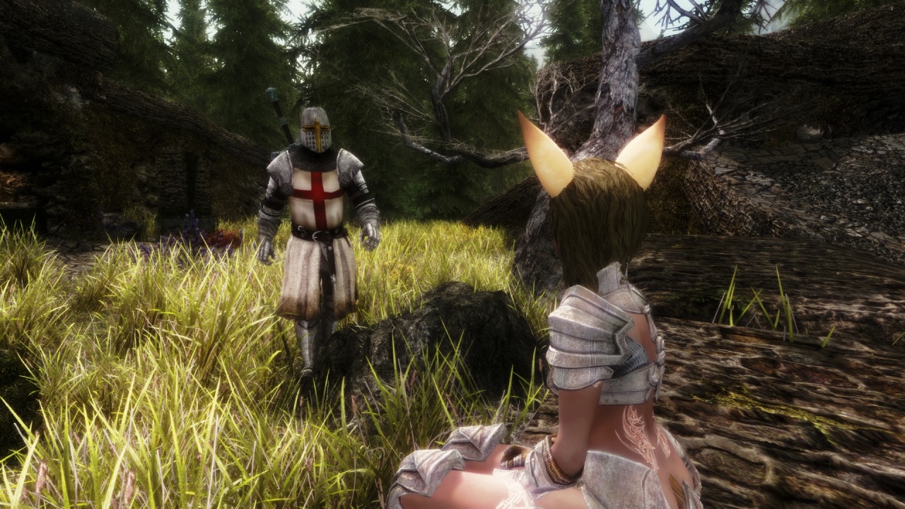 the choice is yours skyrim se the choice is yours skyrim se